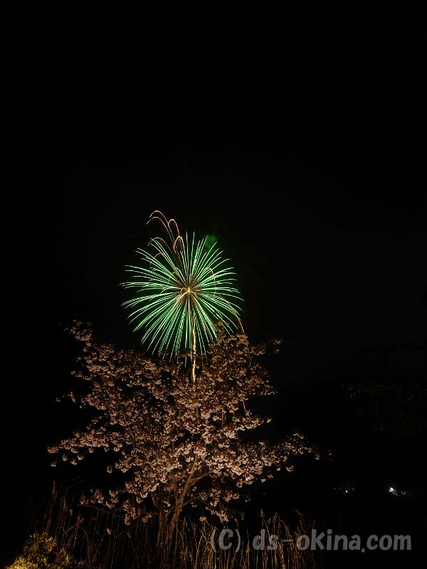 20190429_192610_0.jpg