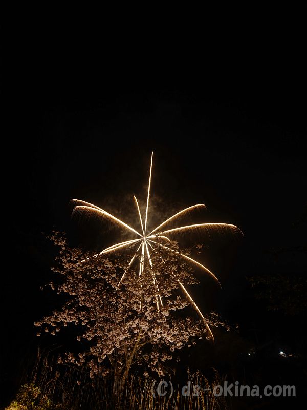 20190429_192652_0.jpg