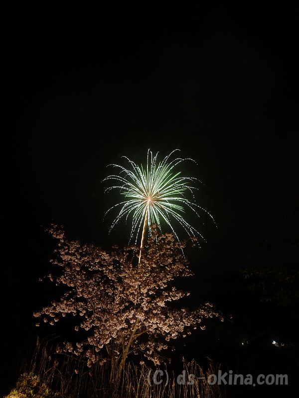 20190429_192848_0.jpg