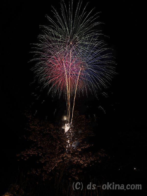20190429_193043_0.jpg