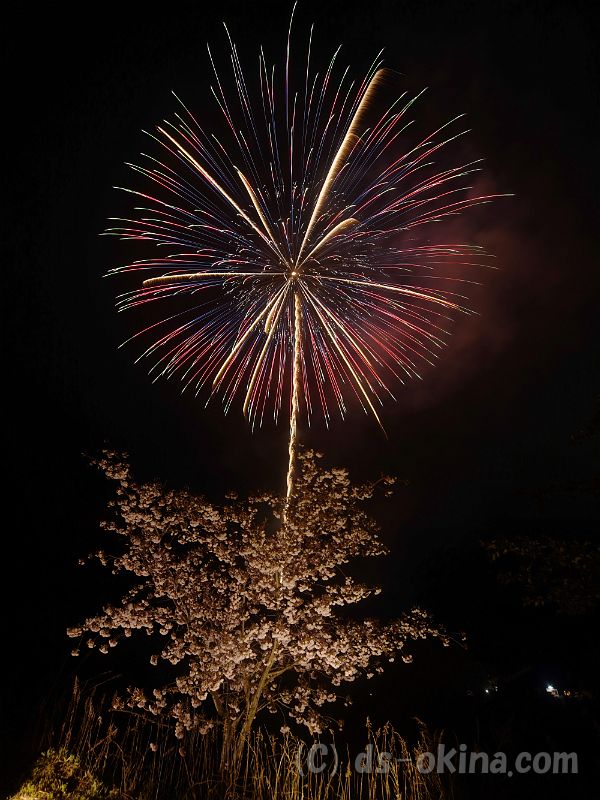 20190429_193827_0.jpg