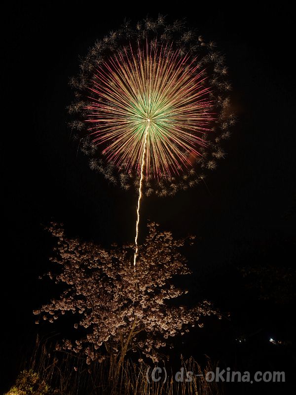 20190429_193954_0.jpg