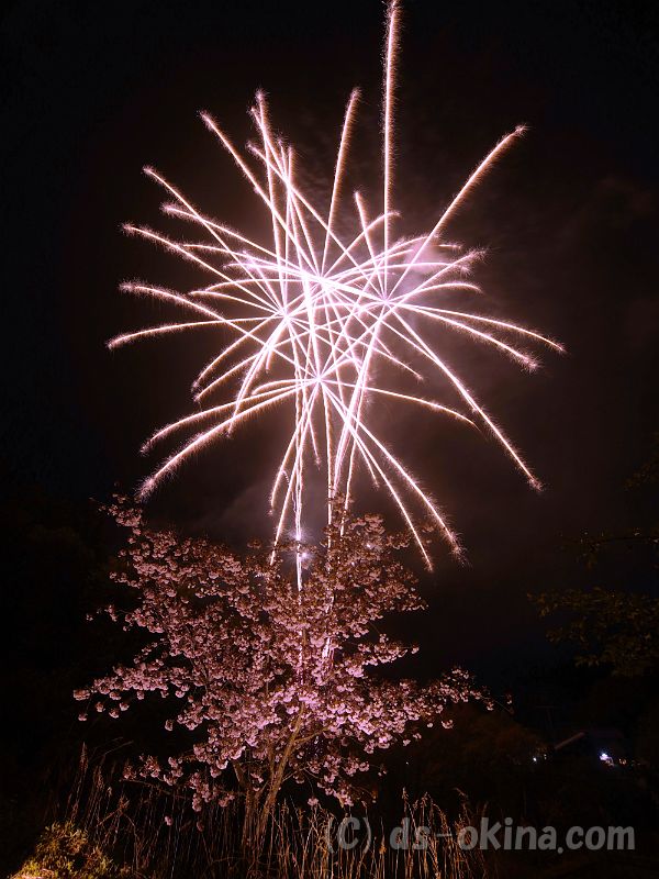 20190429_194057_0.jpg