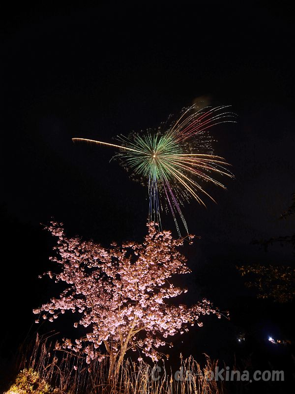 20190429_194244_0.jpg