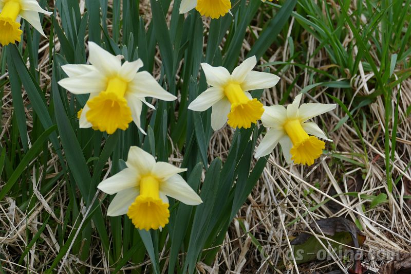 20190429_063411_0.jpg