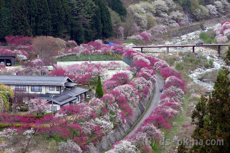 20190429_065353_0.jpg
