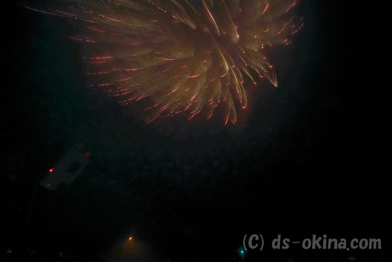 20190430_204512_0.jpg