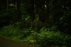 190602_020428a