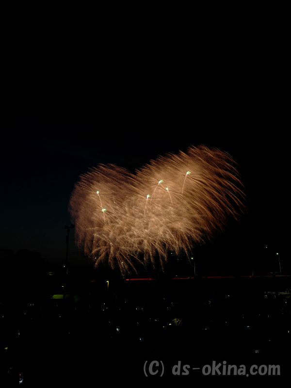 20190725_193234_1.jpg