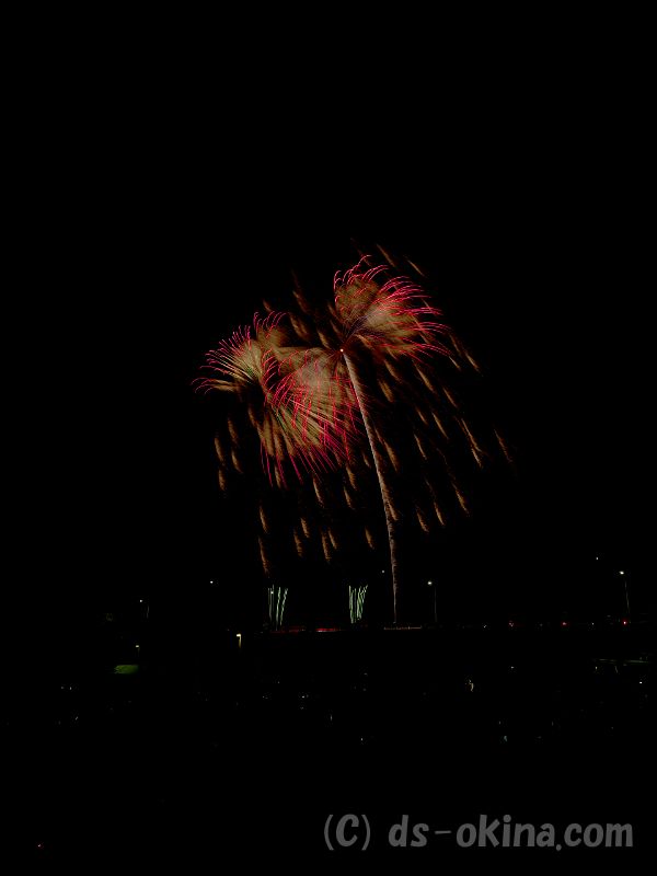 20190725_193816_1.jpg