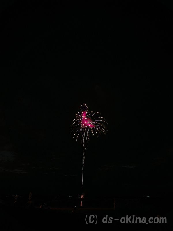 20190726_194616_1.jpg