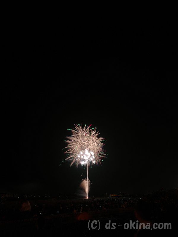 20190726_204416_1.jpg