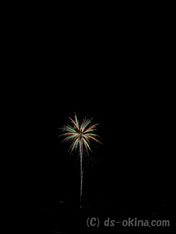 20190824_200640.jpg