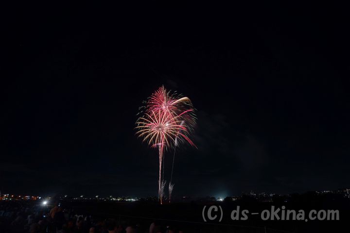 20190907_190146.jpg
