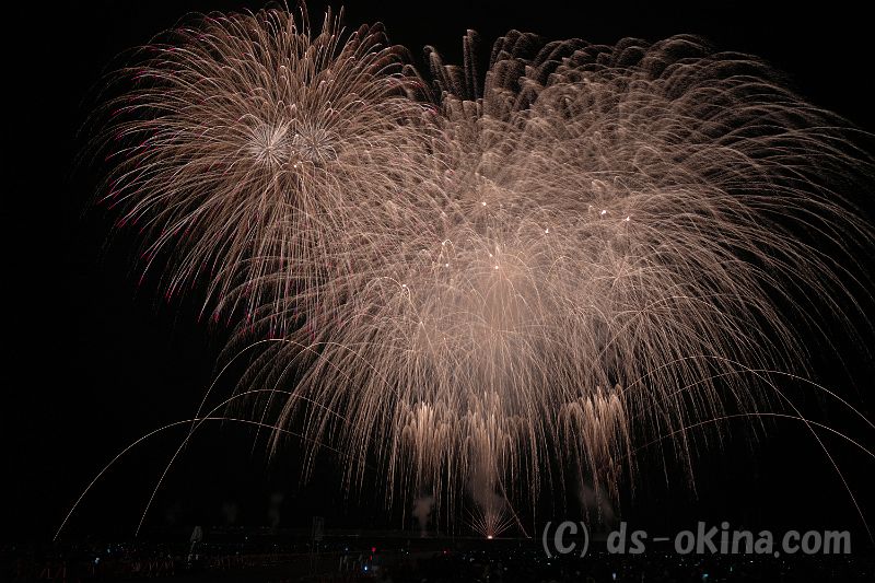 20191103_183102.jpg