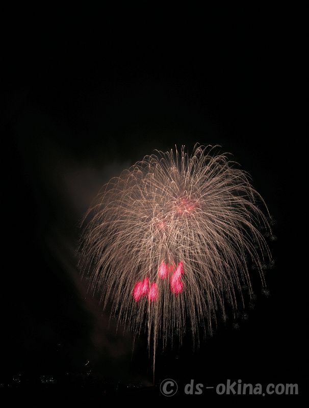 20201107_182918.jpg