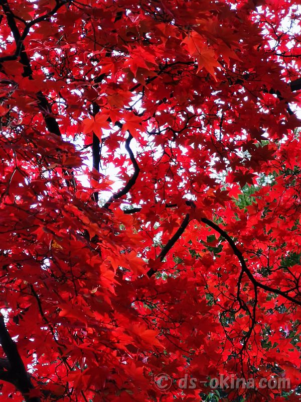 20201107_083806.jpg