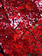20201107_083806