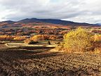 20201107_152946