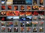 Album001