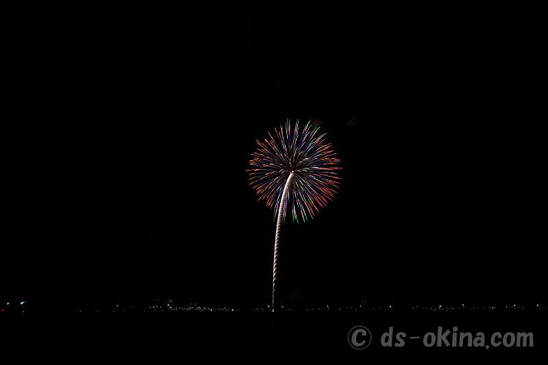 20201108_190328.jpg