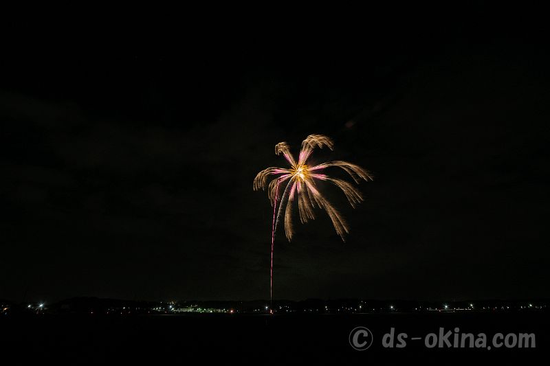 20201108_191032.jpg