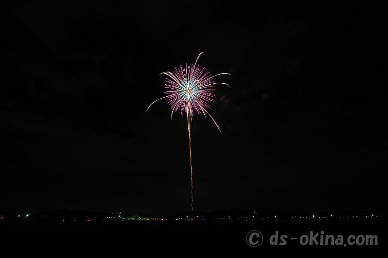20201108_192412.jpg