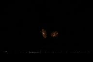 20201108_190526