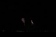 20201108_190544