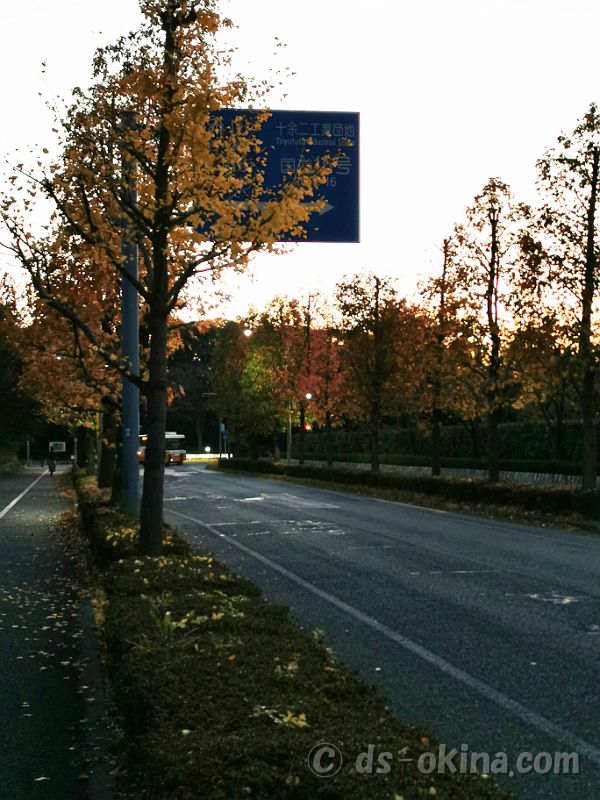 20201114_164830.jpg