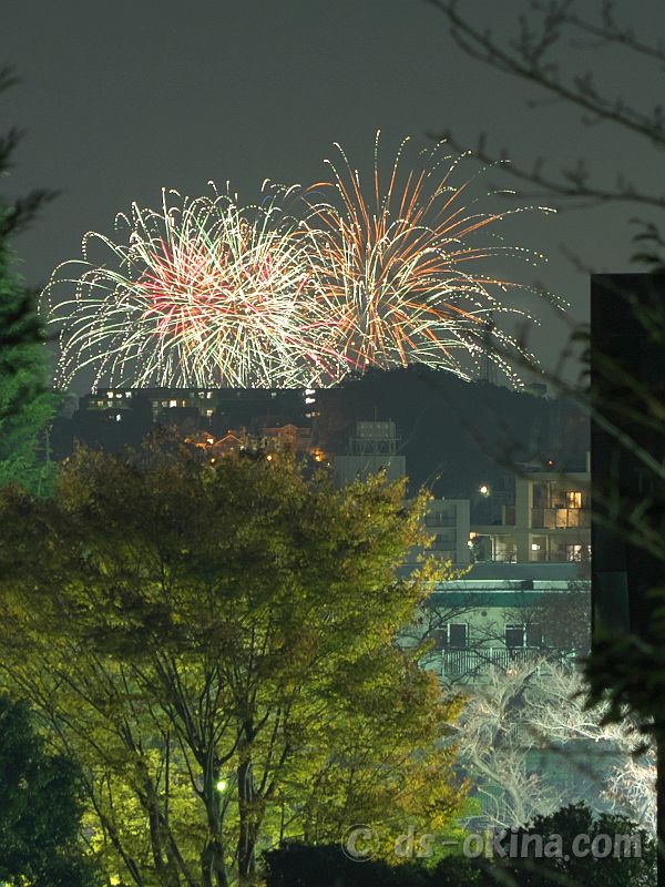 20201115_190426.jpg