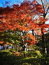 20201122_072816