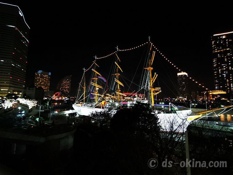20201205_202811.jpg