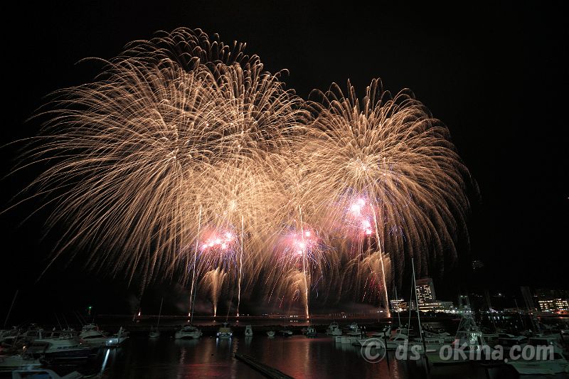 20201213_203044.jpg
