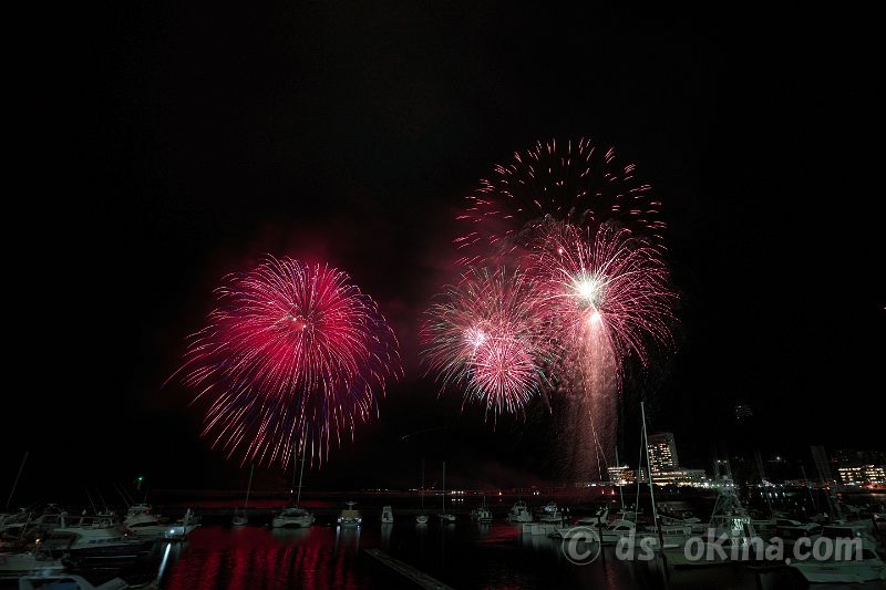 20201213_203218.jpg