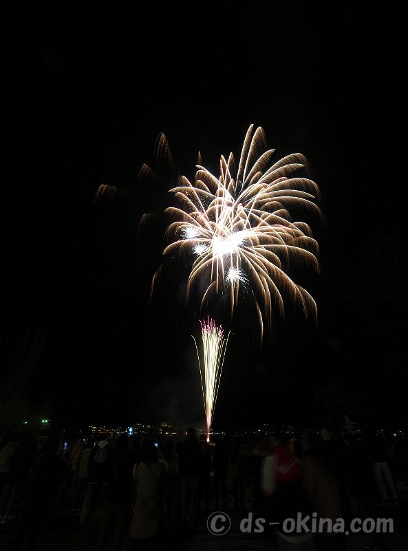 20210313_201020.jpg