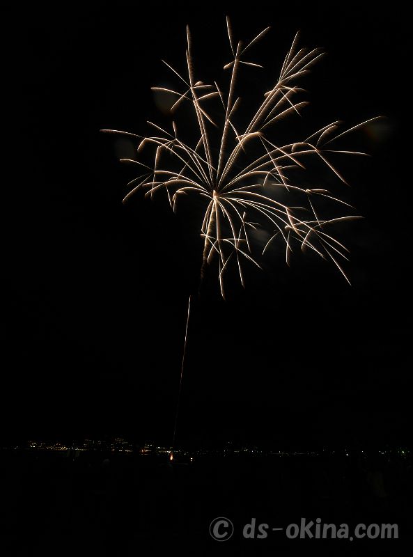 20210328_200708.jpg
