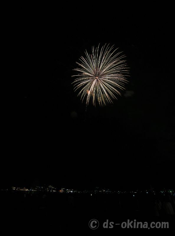 20210328_200906.jpg