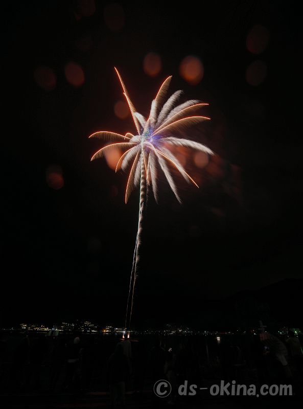 20210328_201530.jpg