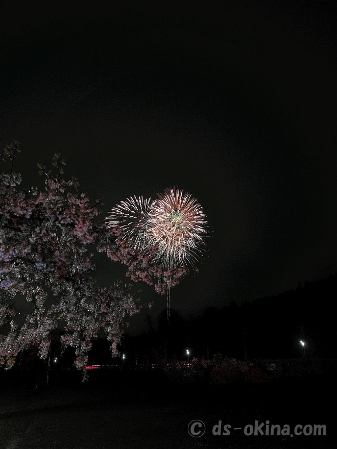 20220403_190200.jpg
