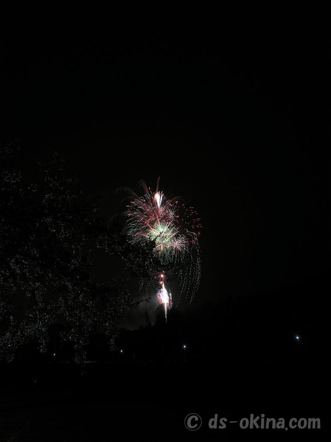20220403_190622.jpg