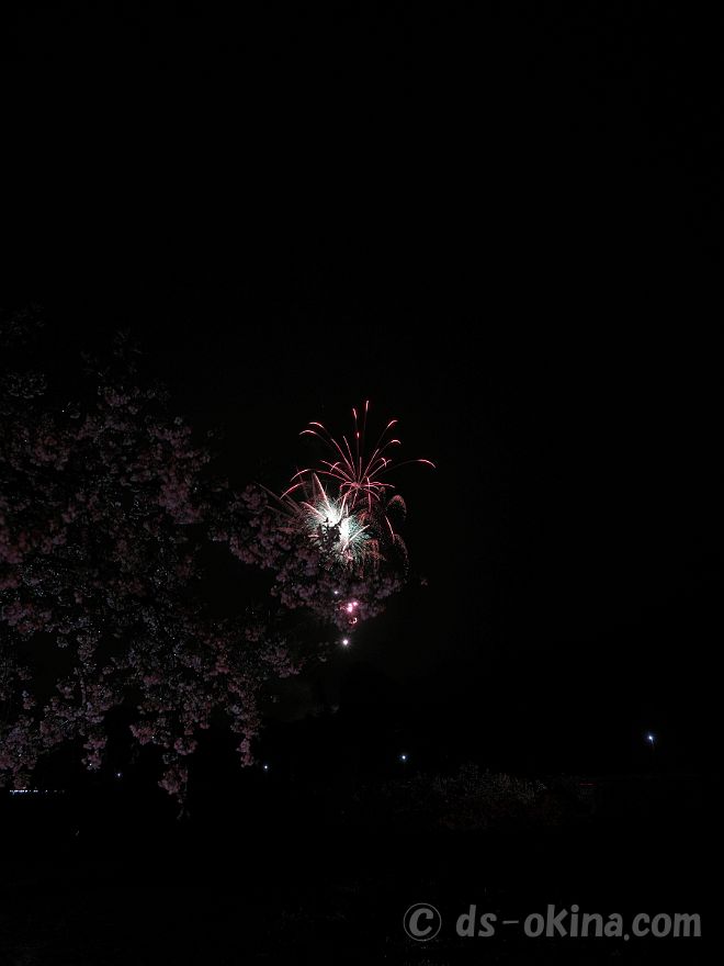 20220403_190632.jpg