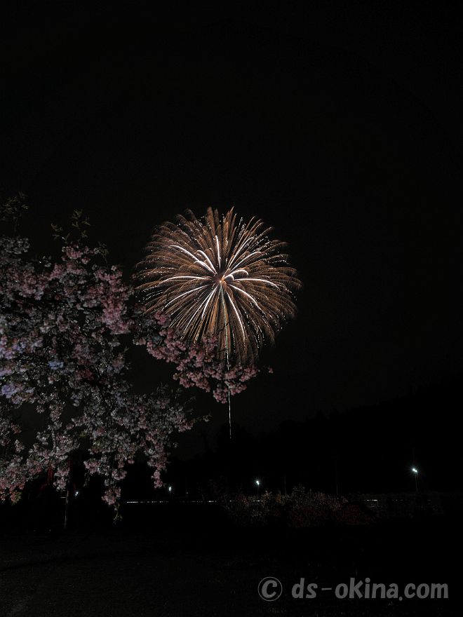 20220403_190902.jpg