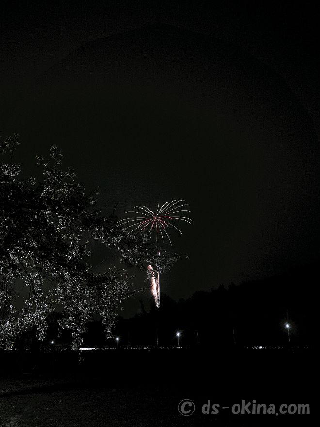 20220403_191216.jpg
