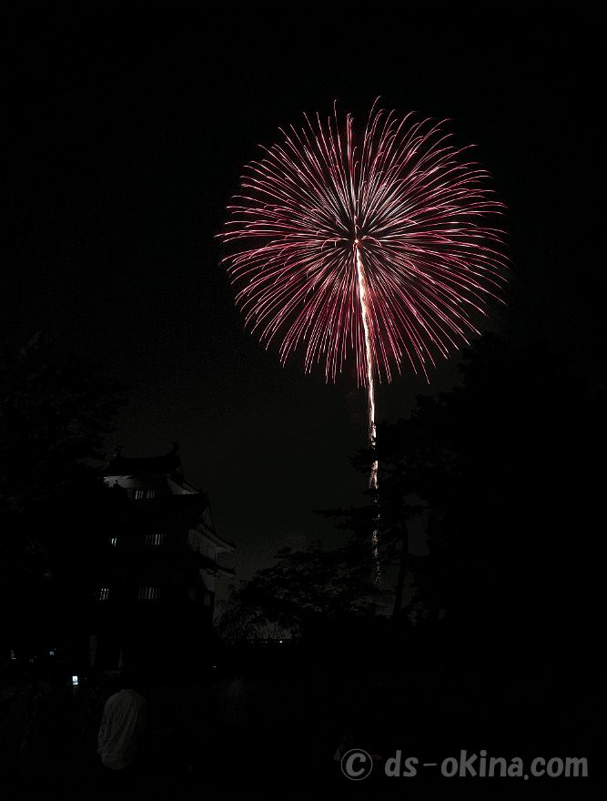 20220410_201158.jpg