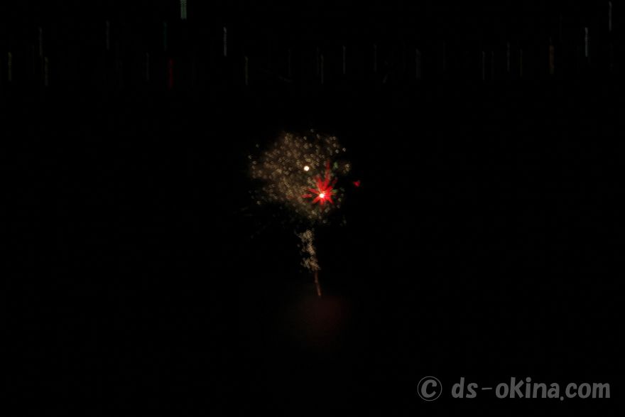 20220413_203025.jpg