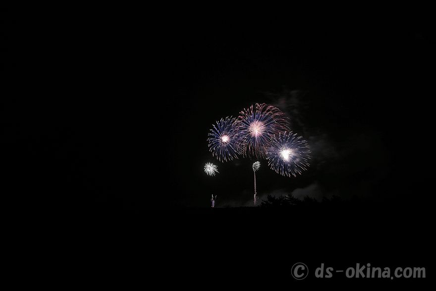 20220423_191214.jpg