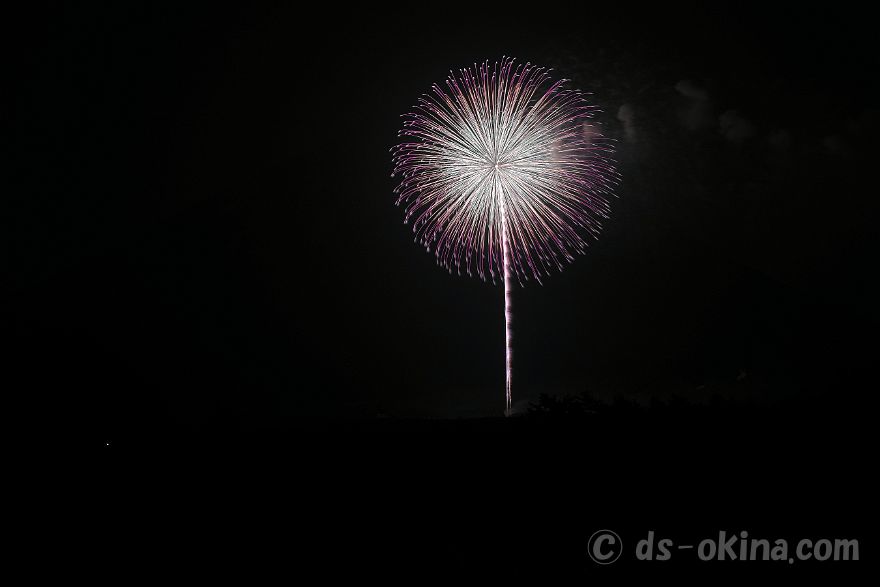 20220423_192550.jpg