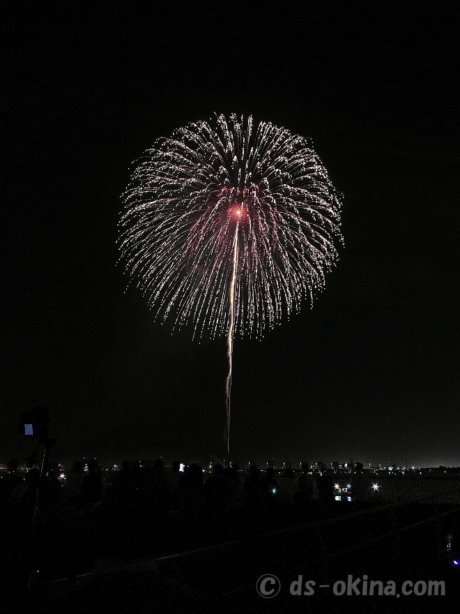 20220730_200708.jpg