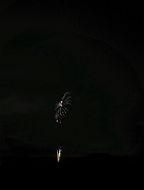 20220821_193952